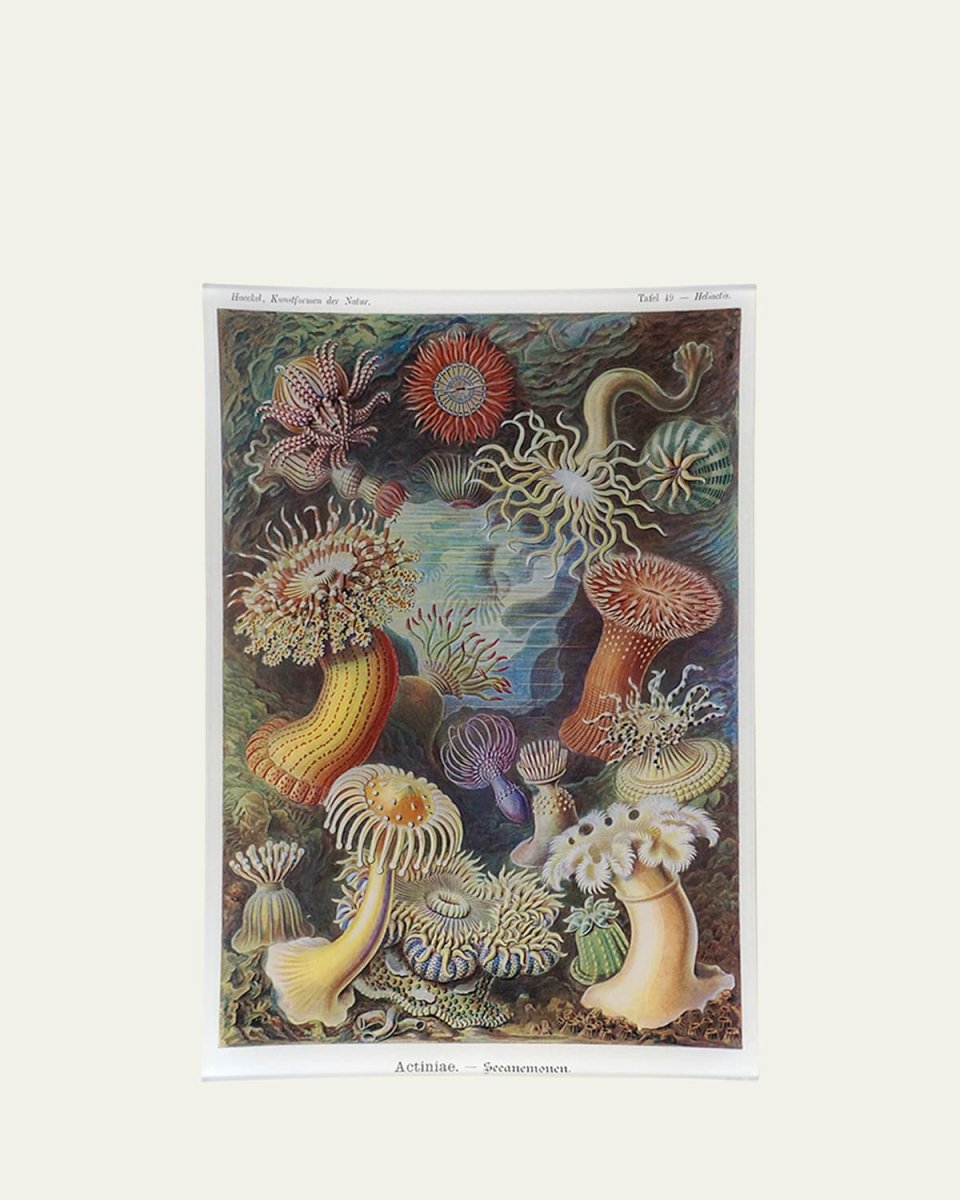 Sea Anemones Rectangular Tray